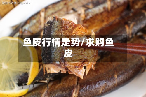 鱼皮行情走势/求购鱼皮