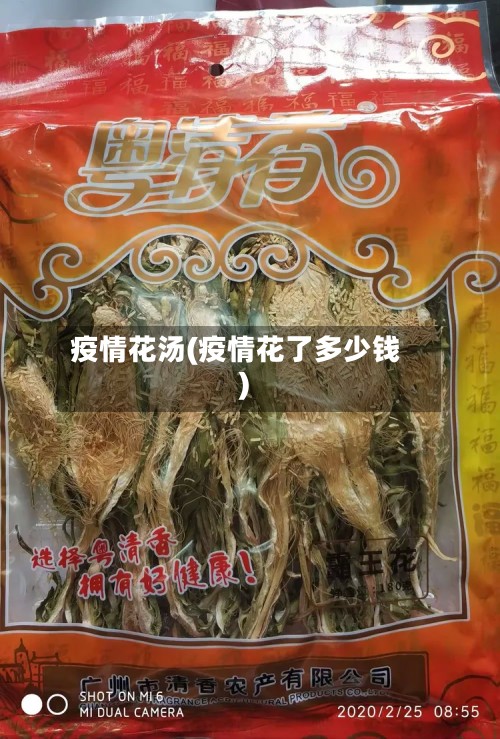 疫情花汤(疫情花了多少钱)