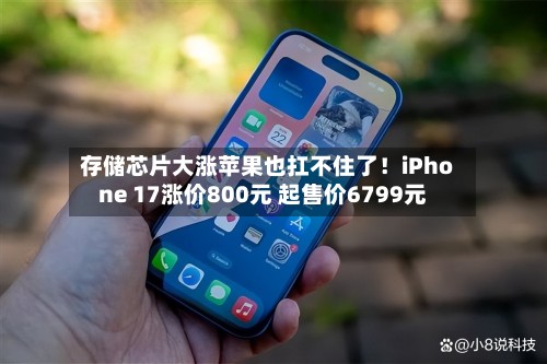 存储芯片大涨苹果也扛不住了！iPhone 17涨价800元 起售价6799元-第3张图片