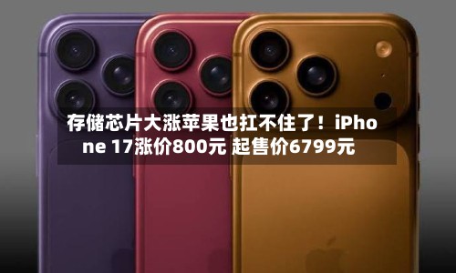 存储芯片大涨苹果也扛不住了！iPhone 17涨价800元 起售价6799元-第2张图片