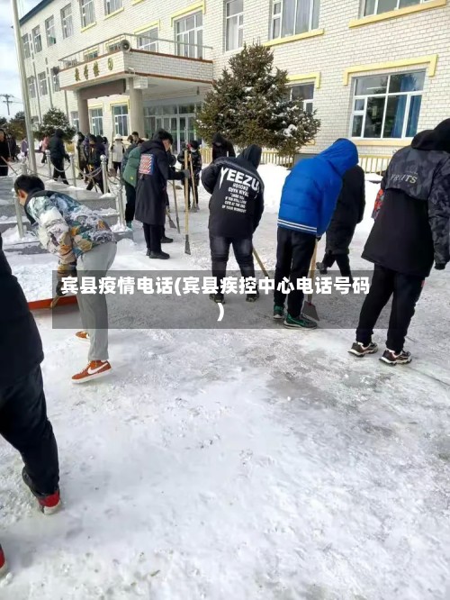 宾县疫情电话(宾县疾控中心电话号码)