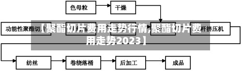 【聚酯切片费用走势行情,聚酯切片费用走势2023】