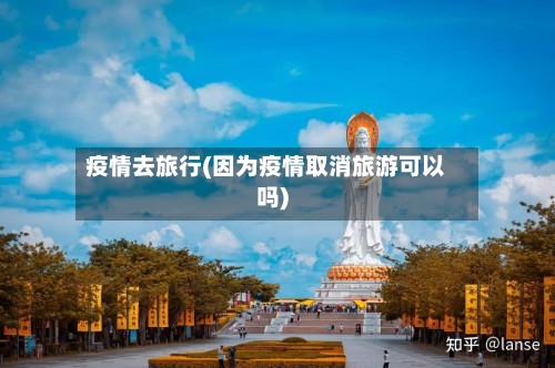 疫情去旅行(因为疫情取消旅游可以吗)