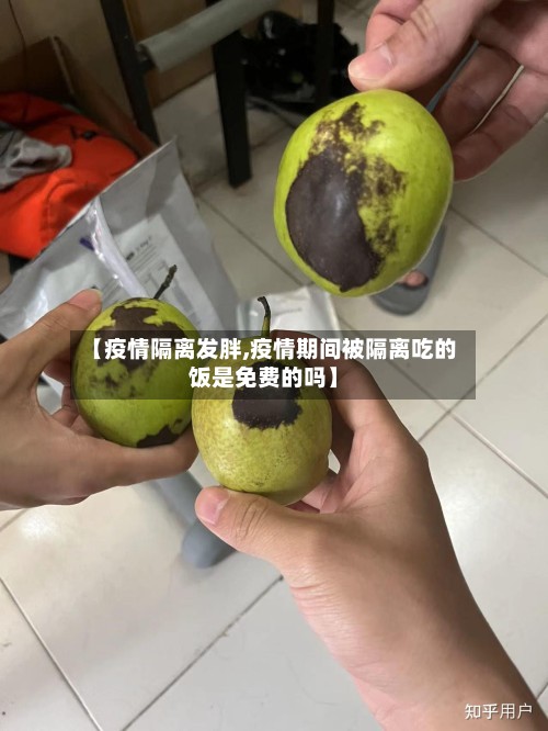 【疫情隔离发胖,疫情期间被隔离吃的饭是免费的吗】