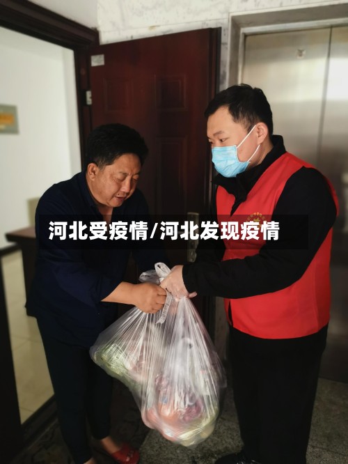 河北受疫情/河北发现疫情