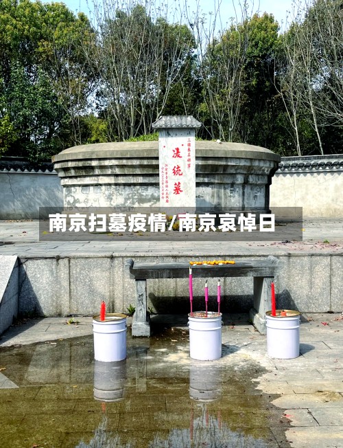 南京扫墓疫情/南京哀悼日