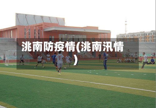 洮南防疫情(洮南汛情)-第2张图片