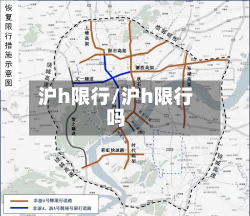 沪h限行/沪h限行吗-第2张图片