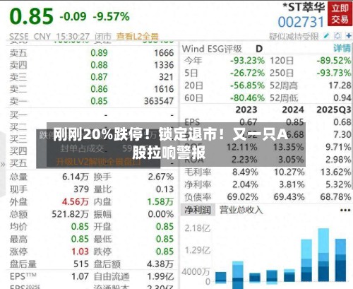 刚刚20%跌停!锁定退市!又一只A股拉响警报