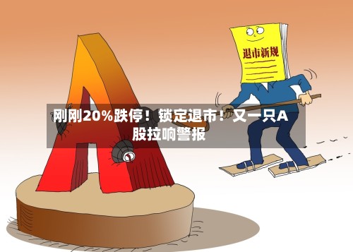 刚刚20%跌停！锁定退市！又一只A股拉响警报-第2张图片