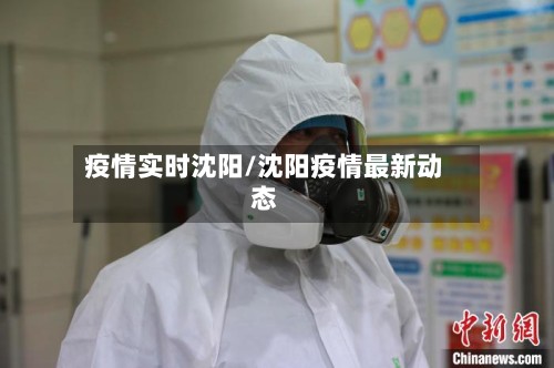 疫情实时沈阳/沈阳疫情最新动态-第2张图片