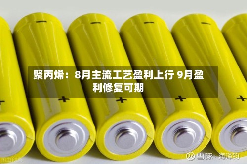 聚丙烯：8月主流工艺盈利上行 9月盈利修复可期-第1张图片