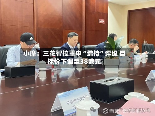 小摩：三花智控重申“增持”评级 目标价下调至38港元-第1张图片