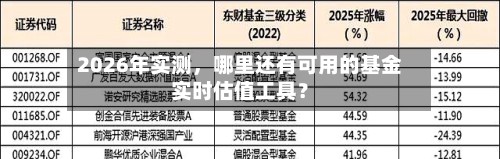 2026年实测，哪里还有可用的基金实时估值工具？