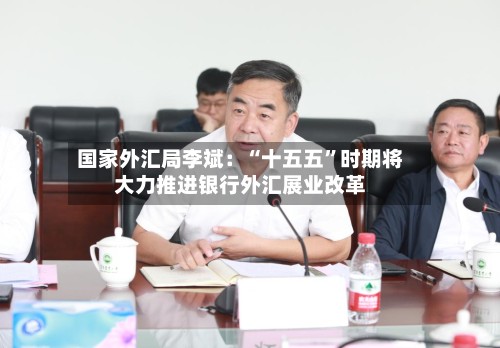 国家外汇局李斌：“十五五”时期将大力推进银行外汇展业改革