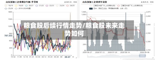 粮食股后续行情走势/粮食股未来走势如何-第2张图片