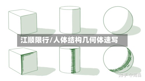 江顺限行/人体结构几何体速写-第3张图片