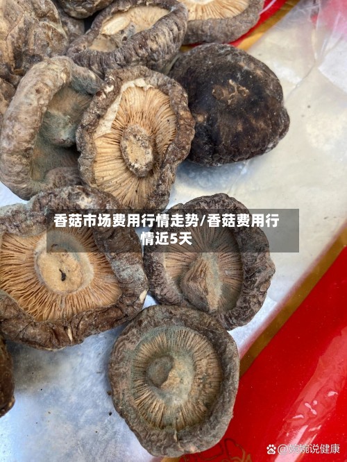 香菇市场费用行情走势/香菇费用行情近5天