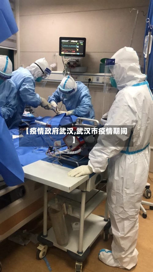 【疫情政府武汉,武汉市疫情期间】-第2张图片