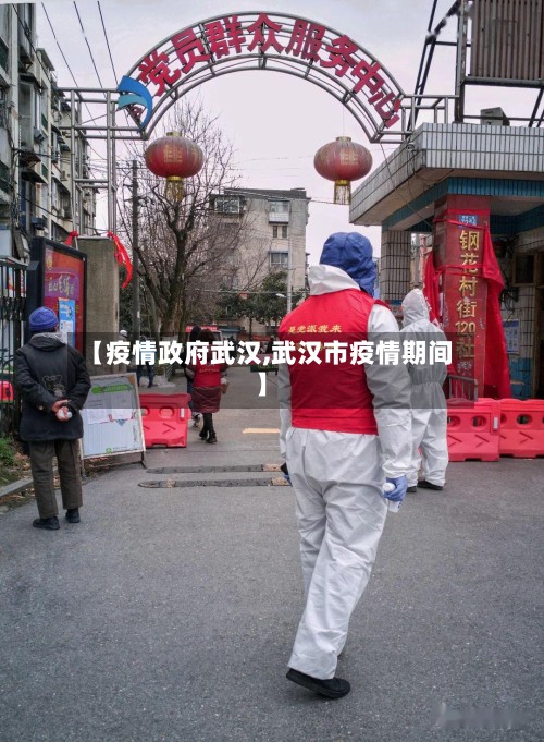 【疫情政府武汉,武汉市疫情期间】