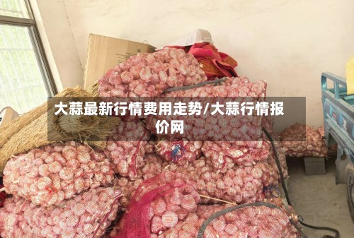 大蒜最新行情费用走势/大蒜行情报价网