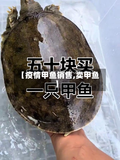 【疫情甲鱼销售,卖甲鱼】