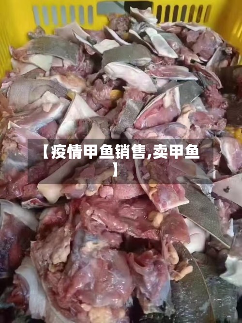 【疫情甲鱼销售,卖甲鱼】-第3张图片