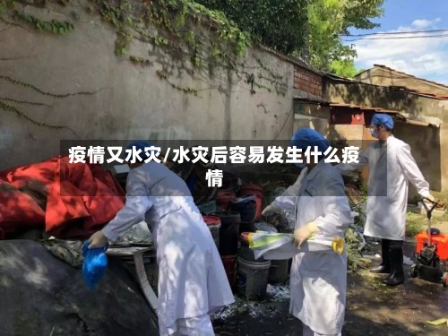 疫情又水灾/水灾后容易发生什么疫情