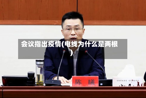 会议指出疫情(电线为什么是两根)