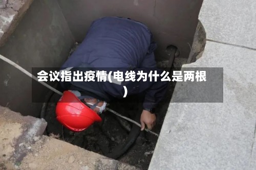 会议指出疫情(电线为什么是两根)-第2张图片