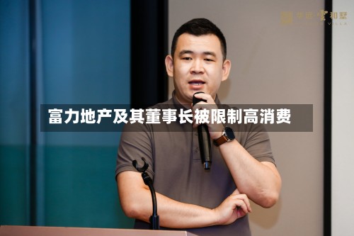 富力地产及其董事长被限制高消费