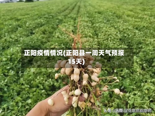 正阳疫情情况(正阳县一周天气预报15天)