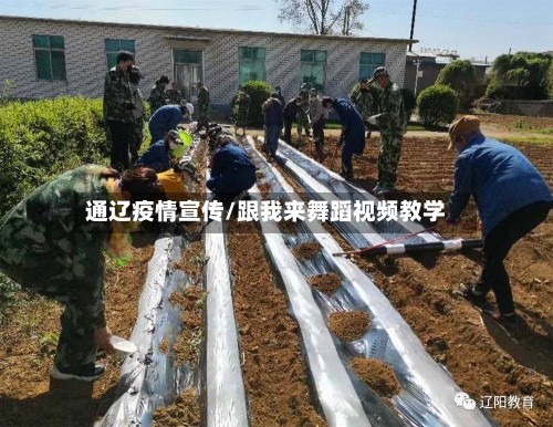通辽疫情宣传/跟我来舞蹈视频教学