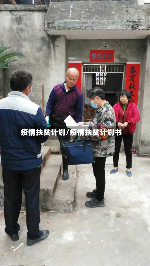 疫情扶贫计划/疫情扶贫计划书-第3张图片