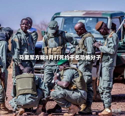 马里军方称8月打死约千名恐怖分子