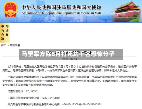 马里军方称8月打死约千名恐怖分子-第3张图片