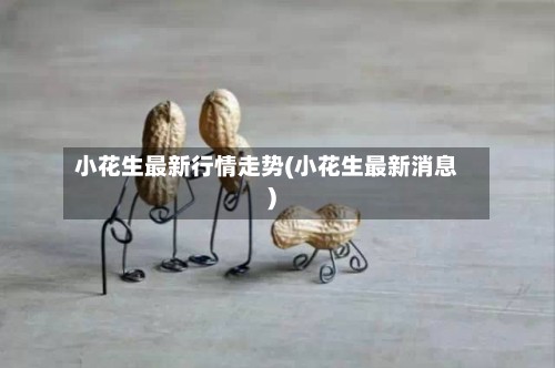 小花生最新行情走势(小花生最新消息)