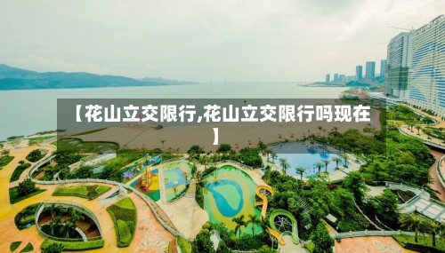 【花山立交限行,花山立交限行吗现在】-第3张图片