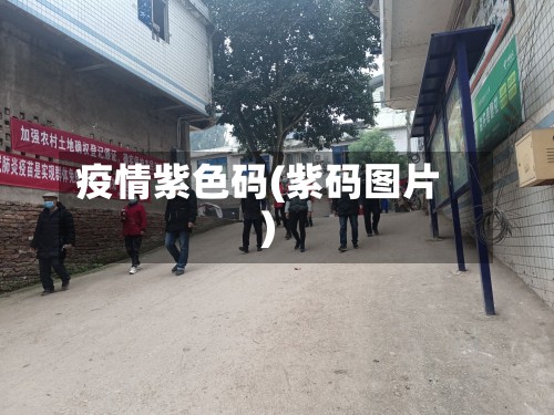 疫情紫色码(紫码图片)