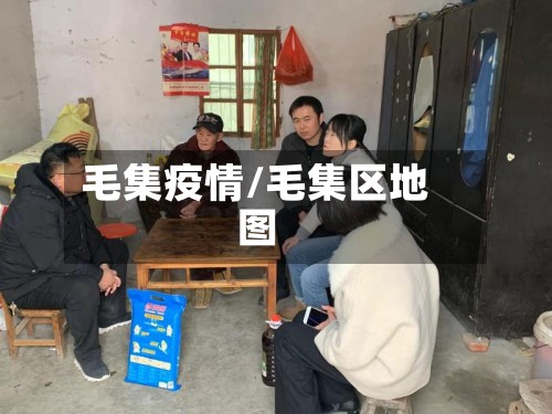 毛集疫情/毛集区地图