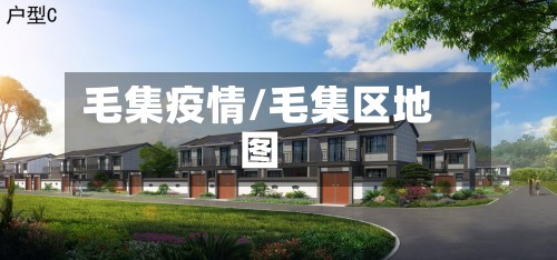毛集疫情/毛集区地图-第2张图片