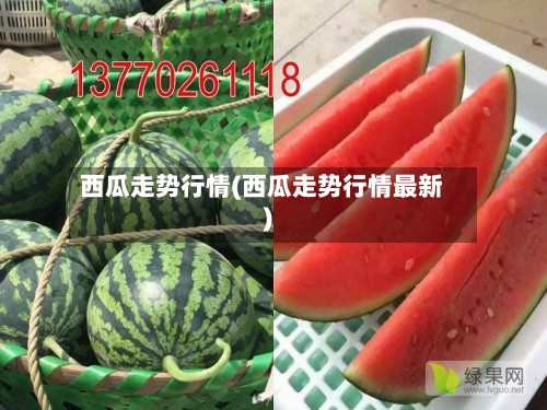 西瓜走势行情(西瓜走势行情最新)-第3张图片