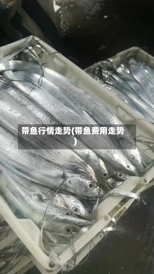 带鱼行情走势(带鱼费用走势)-第2张图片