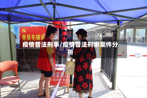 疫情普法刑事/疫情普法刑事案件分析-第2张图片