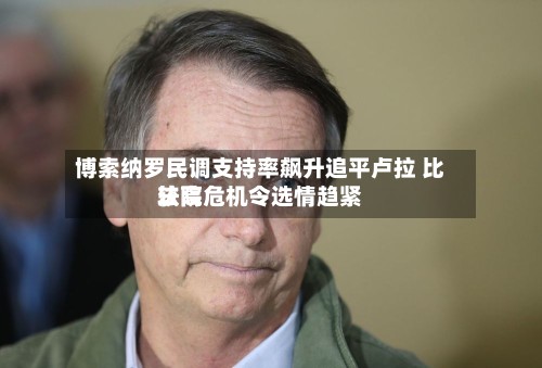 博索纳罗民调支持率飙升追平卢拉 比较高法院危机令选情趋紧