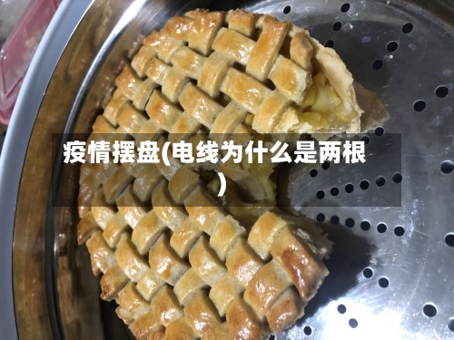 疫情摆盘(电线为什么是两根)-第3张图片