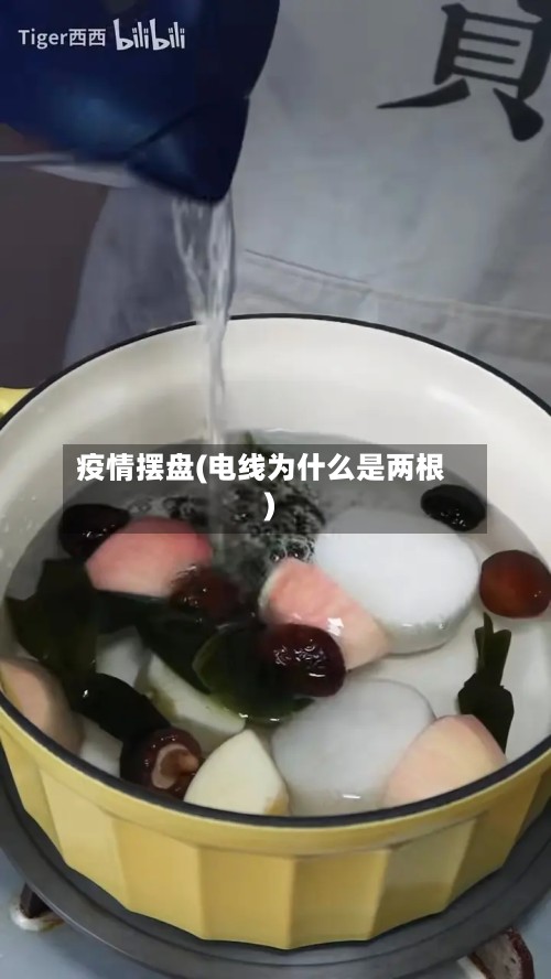 疫情摆盘(电线为什么是两根)