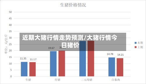 近期大猪行情走势预测/大猪行情今日猪价