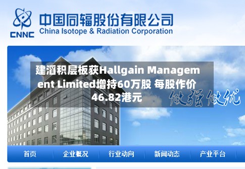建滔积层板获Hallgain Management Limited增持60万股 每股作价46.82港元-第1张图片