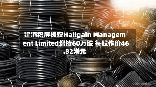 建滔积层板获Hallgain Management Limited增持60万股 每股作价46.82港元-第2张图片